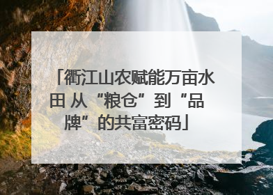 衢江山农赋能万亩水田 从“粮仓”到“品牌”的共富密码