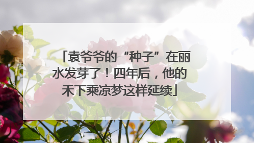 袁爷爷的“种子”在丽水发芽了！四年后，他的禾下乘凉梦这样延续