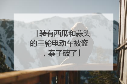 装有西瓜和蒜头的三轮电动车被盗，案子破了