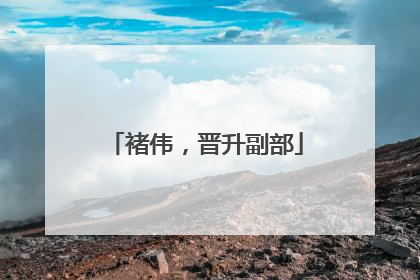 褚伟，晋升副部