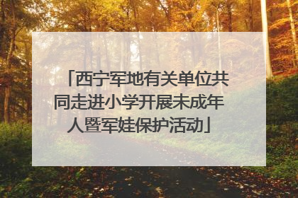 西宁军地有关单位共同走进小学开展未成年人暨军娃保护活动