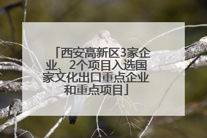 西安高新区3家企业、2个项目入选国家文化出口重点企业和重点项目