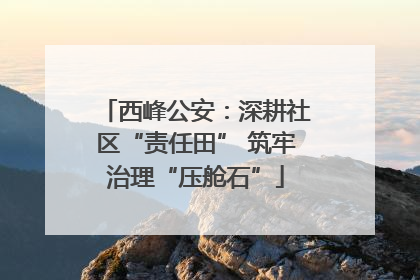 西峰公安：深耕社区“责任田” 筑牢治理“压舱石”