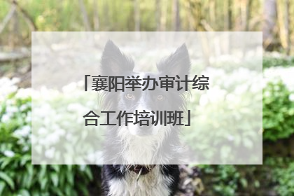 襄阳举办审计综合工作培训班