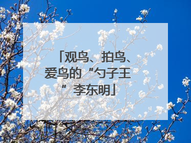 观鸟、拍鸟、爱鸟的“勺子王”李东明