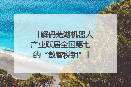 解码芜湖机器人产业跃居全国第七的“数智税钥”