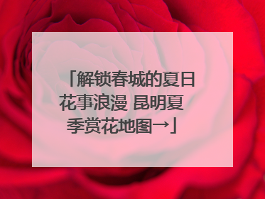 解锁春城的夏日花事浪漫 昆明夏季赏花地图→