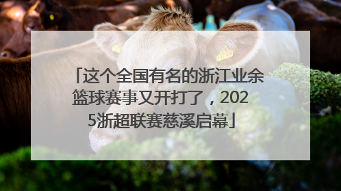 这个全国有名的浙江业余篮球赛事又开打了，2025浙超联赛慈溪启幕