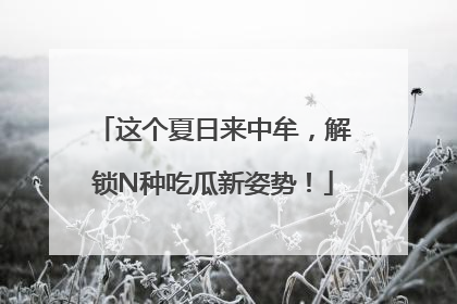 这个夏日来中牟，解锁N种吃瓜新姿势！
