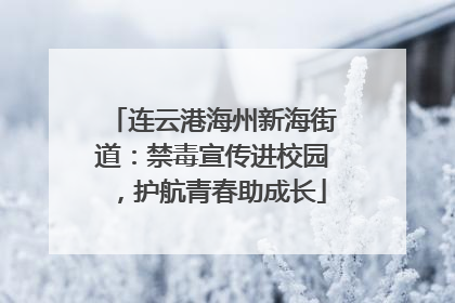 连云港海州新海街道：禁毒宣传进校园，护航青春助成长