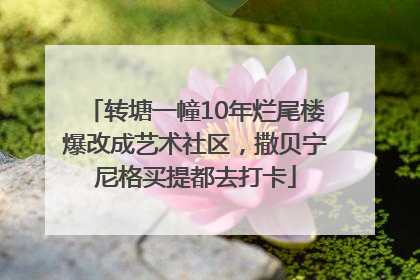转塘一幢10年烂尾楼爆改成艺术社区，撒贝宁尼格买提都去打卡