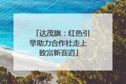 达茂旗：红色引擎助力合作社走上致富新赛道