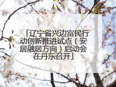 辽宁省兴边富民行动创新推进试点（安居融居方向）启动会在丹东召开