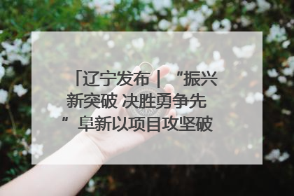 辽宁发布｜“振兴新突破 决胜勇争先”阜新以项目攻坚破解发展瓶颈 经济发展实现良好开局