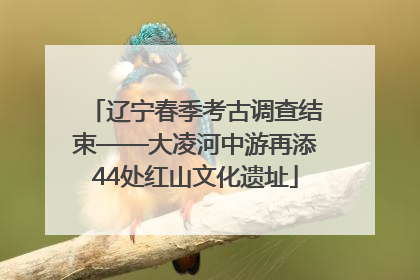 辽宁春季考古调查结束——大凌河中游再添44处红山文化遗址