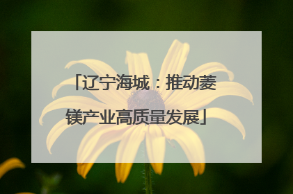 辽宁海城：推动菱镁产业高质量发展