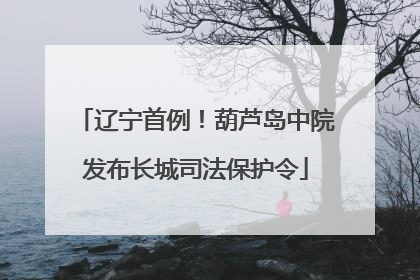 辽宁首例！葫芦岛中院发布长城司法保护令