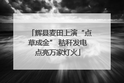 辉县麦田上演“点草成金” 秸秆发电点亮万家灯火