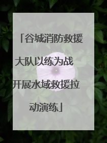 谷城消防救援大队以练为战 开展水域救援拉动演练