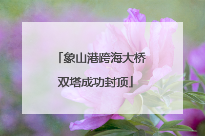 象山港跨海大桥双塔成功封顶