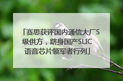 赛思获评国内通信大厂S级供方，跻身国产SLIC语音芯片领军者行列