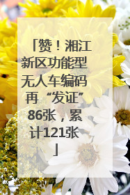 赞！湘江新区功能型无人车编码再“发证”86张，累计121张