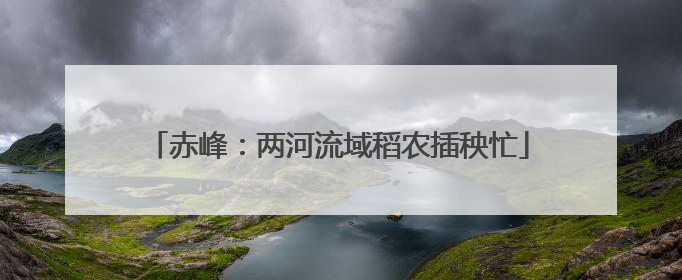 赤峰：两河流域稻农插秧忙