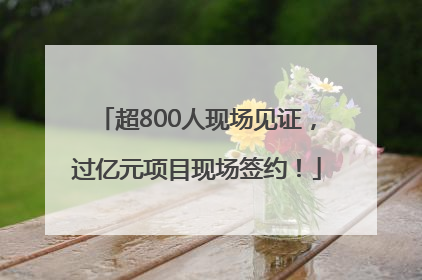 超800人现场见证，过亿元项目现场签约！