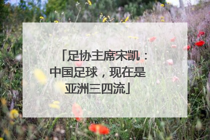 足协主席宋凯：中国足球，现在是亚洲三四流