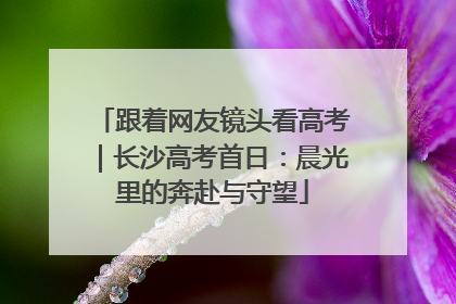 跟着网友镜头看高考｜长沙高考首日：晨光里的奔赴与守望