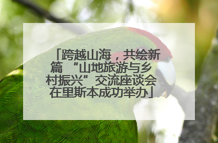 跨越山海，共绘新篇 “山地旅游与乡村振兴”交流座谈会在里斯本成功举办