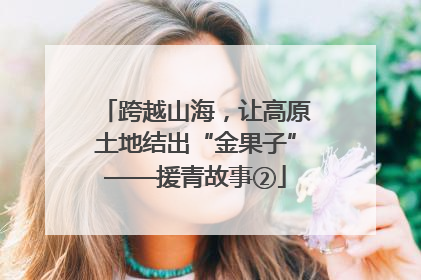 跨越山海，让高原土地结出“金果子”——援青故事②