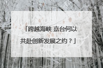 跨越海峡 嘉台何以共赴创新发展之约？
