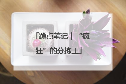蹲点笔记｜“疯狂”的分拣工
