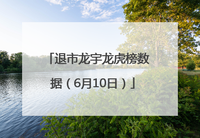 退市龙宇龙虎榜数据（6月10日）
