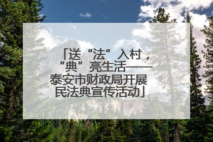 送“法”入村，“典”亮生活——泰安市财政局开展民法典宣传活动