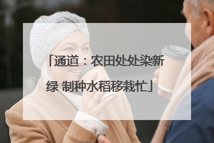 通道：农田处处染新绿 制种水稻移栽忙