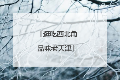 逛吃西北角 品味老天津