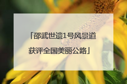邵武世遗1号风景道获评全国美丽公路