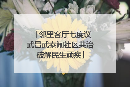 邻里客厅七度议 武昌武泰闸社区共治破解民生顽疾