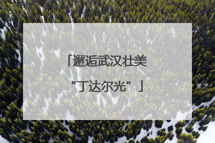 邂逅武汉壮美“丁达尔光”
