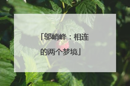 邬峭峰：相连的两个梦境