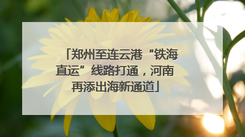 郑州至连云港“铁海直运”线路打通，河南再添出海新通道