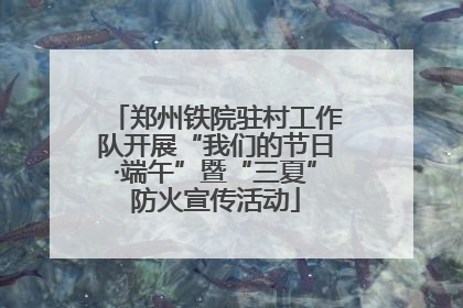 郑州铁院驻村工作队开展“我们的节日·端午”暨“三夏”防火宣传活动