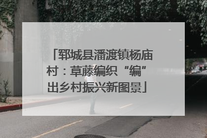 郓城县潘渡镇杨庙村：草藤编织“编”出乡村振兴新图景