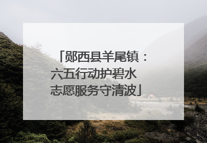 郧西县羊尾镇：六五行动护碧水 志愿服务守清波