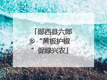郧西县六郎乡“黄板护椒”促绿兴农
