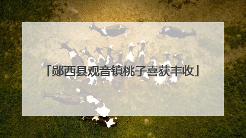 郧西县观音镇桃子喜获丰收