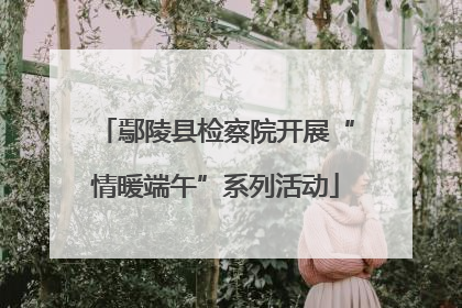 鄢陵县检察院开展“情暖端午”系列活动