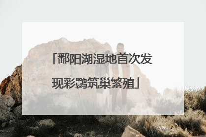 鄱阳湖湿地首次发现彩鹮筑巢繁殖